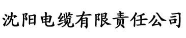 日产精品一二三四区国产电缆厂logo